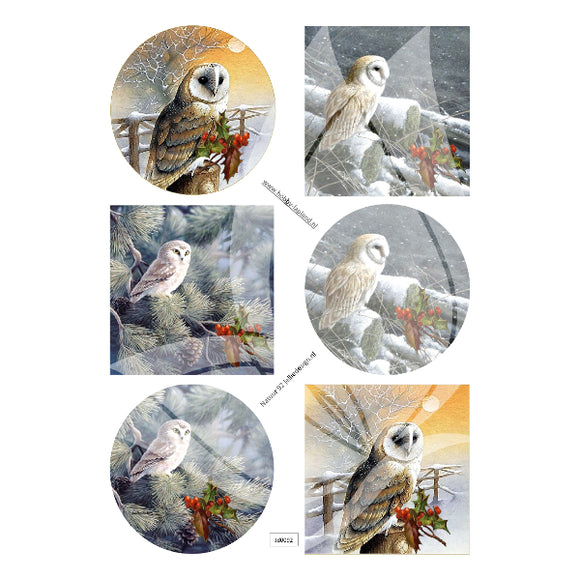 Barn Owls Topper Sheet