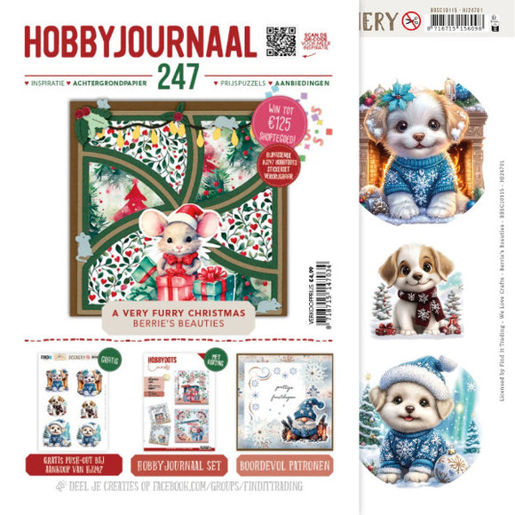 Hobbyjournaal 247