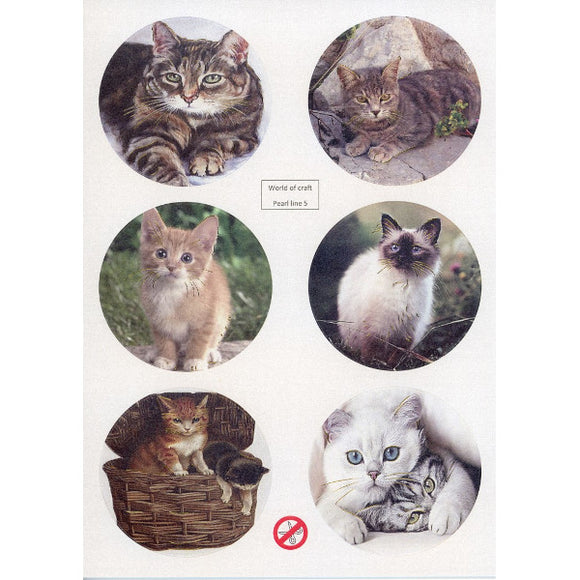 WOC Scenery winter Cats - Round Die Cut Topper Sheet