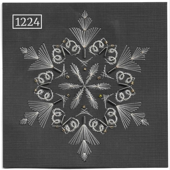 Laura's Design Pattern 1224