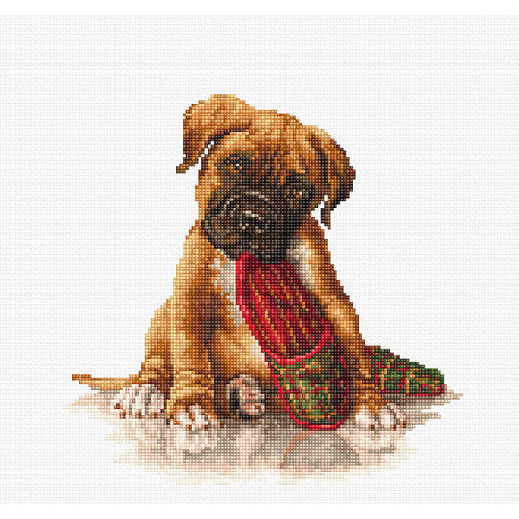 Boxer Puppy Counted Cross Stitch Kit on Aida