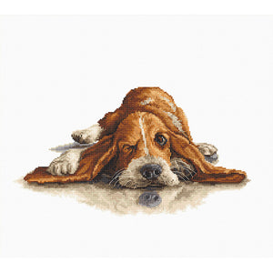 Basset Hound Counted Cross Stitch Kit on Aida