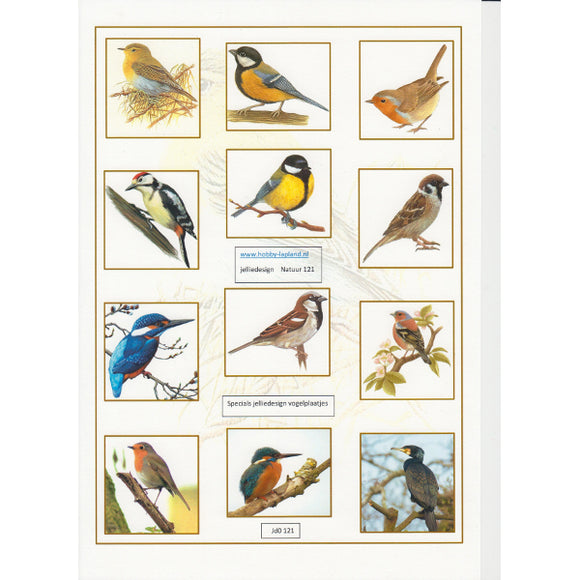 Garden Bird Mini Topper Sheet