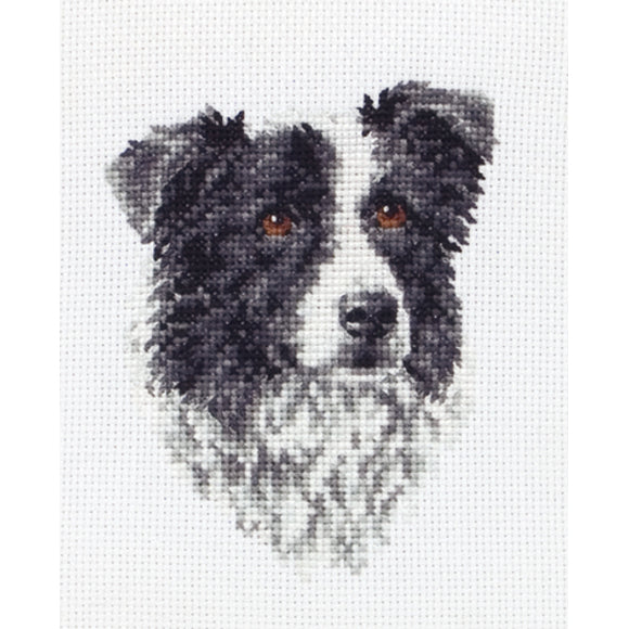Border Collie Counted Cross Stitch Kit on Aida