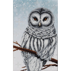 Snow Owl Beaded Embroidery Kit from VDV