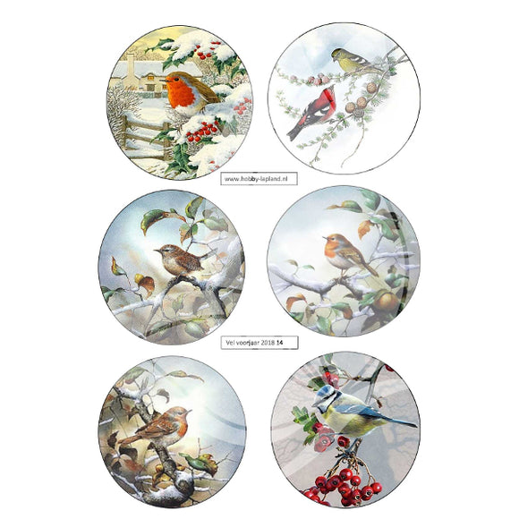 Robin & other Birds Topper Sheet
