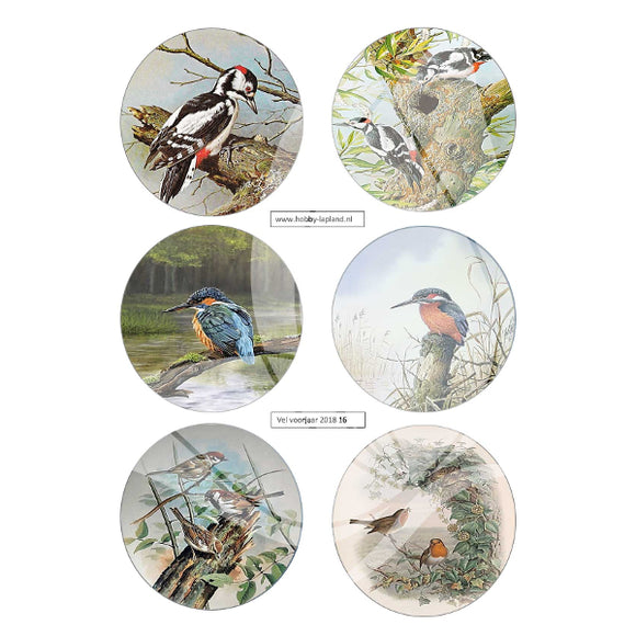 Kingfisher & Woodpecker Topper Sheet