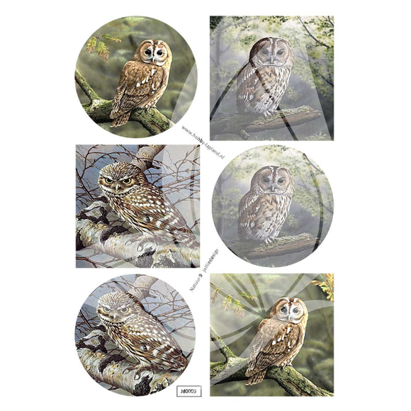 Owls 2 Topper Sheet