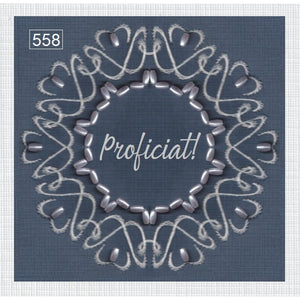 Laura's Design Pattern 558