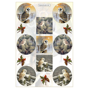 Pearlescent Barn Owls Topper Sheet