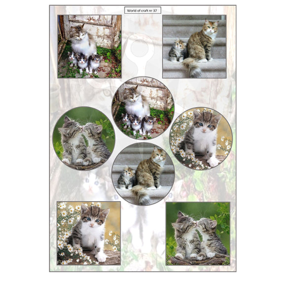 Pearlescent Cats & Kittens Topper Sheet