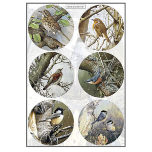 Pearlescent Garden Birds Topper Sheet